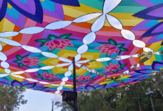 Mushroom Valley Eco Camp景点图片