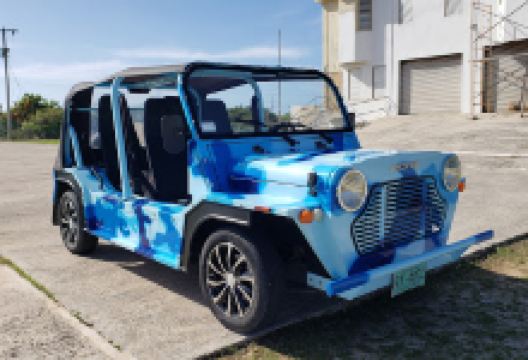 Anegada Rock Iguana Headstart Facility景点图片