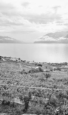 Terrasses viticoles de Lavaux-Lavaux-Oron District