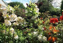 Bielert Manuela Dipl.-Ing. Gärtnerei Gartengestaltung购物图片