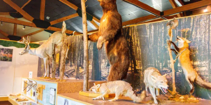 Forrest L Wood Crowley's Ridge Nature Center