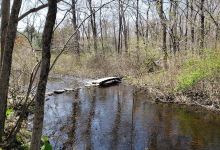 Stonebridge Waterfowl Preserve景点图片