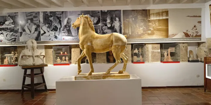 Museo Perez Comendador-Leroux