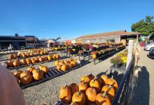 Harvest View Greenhouses, LLC购物图片