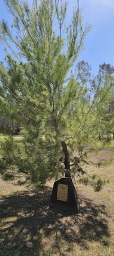 Surat Riverwalk-罗马