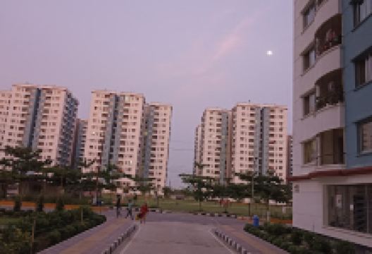 Kamini Garden景点图片