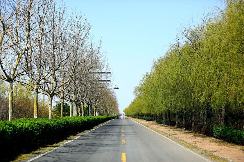 曹妃甸湿地景区-曹妃湖风景区