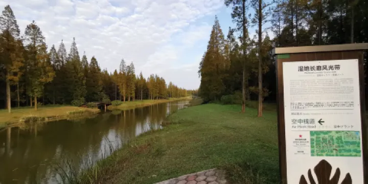 濕地長廊風光帶