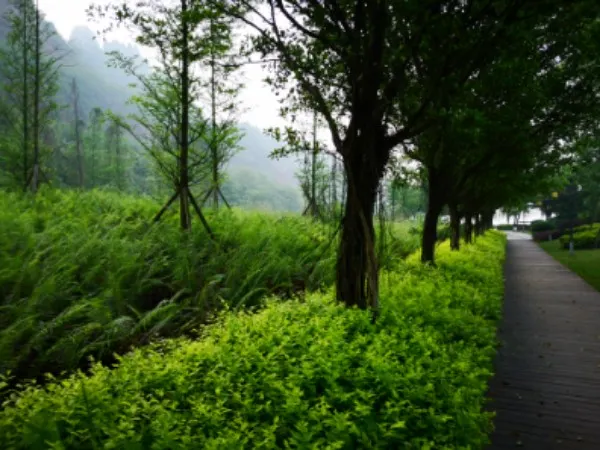 永安旅遊