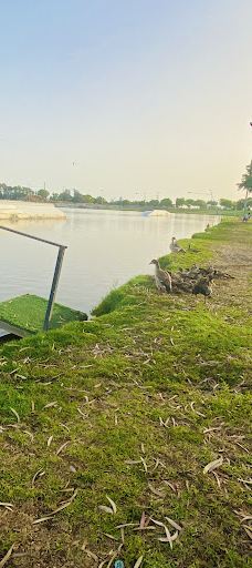 Menachem Begin Park-特拉维夫