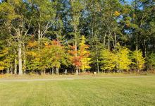 Markey Township Memorial Park景点图片