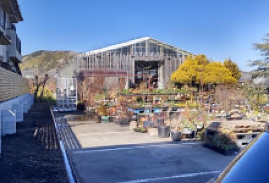 （有）米口グリーンナーセリー 直売店ドリームカントリー购物图片