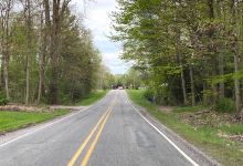 Beechwood Nature Trails景点图片