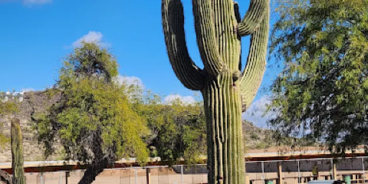 Ben Avery Shooting Facility