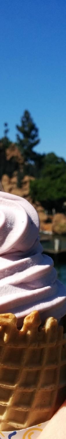 诺氏百乐坊乐园-普安那公园