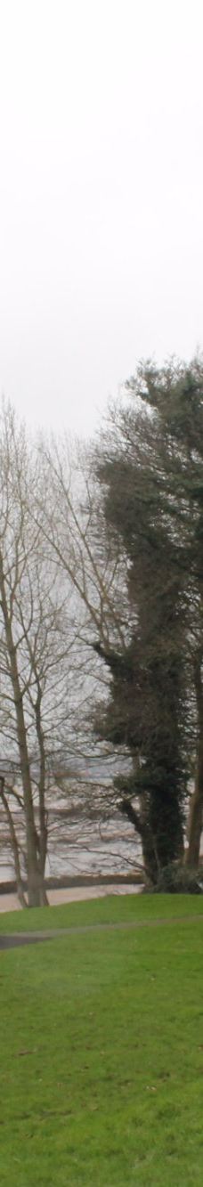 Hazelbank Park-纽敦阿比