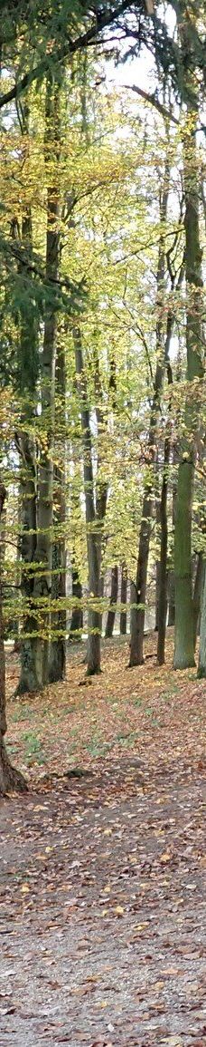 赫卢博卡城堡-伏尔塔瓦河畔赫卢博卡