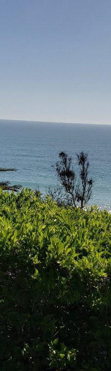 Pines Park-达纳点