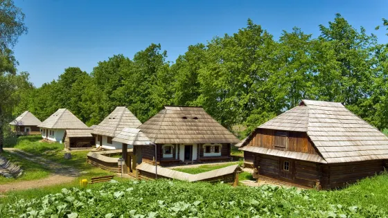 Bucovina Village Museum