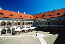 Royal Castle in Niepolomice - Museum)景点图片