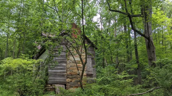 Bull Run Mountains Natural Area Preserve - Virginia Outdoors Foundation