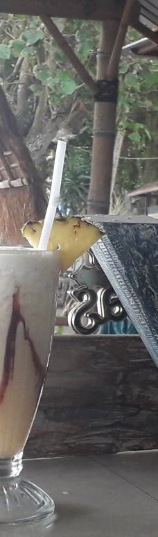 Kurma Asih Sea Turtle Conservation Center-巴厘岛