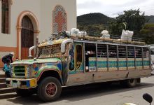 Indigenous Market景点图片