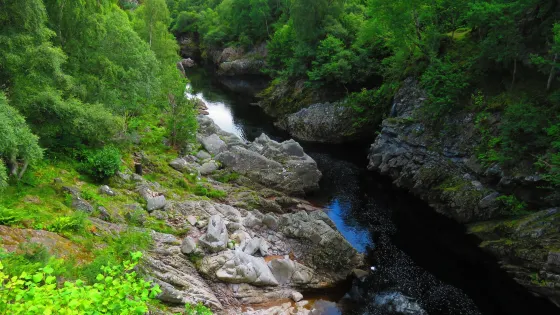 Dulsie Bridge