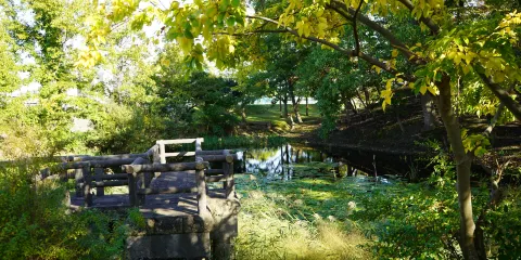 舊市川神社境內地