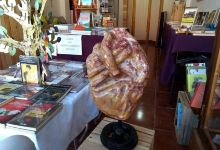 La Vendedora de Libros购物图片