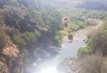 Canyon Of The Angosturas景点图片