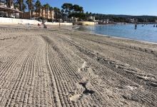 Plage Lumiere景点图片