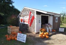 Chick's Apple and Berry Farm景点图片