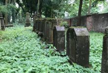Old cemetery in Plock景点图片