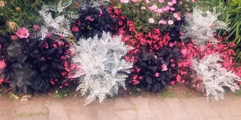 Siegener Schlosspark