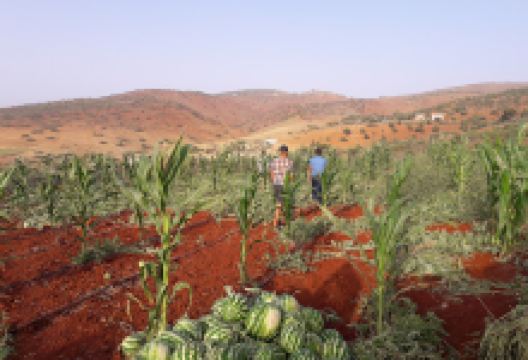Ajenna, Panoramic view of alhoceima景点图片