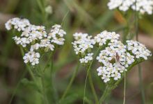 Platte River Prairies景点图片