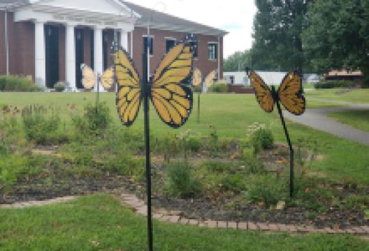 Butterfly Habitat景点图片