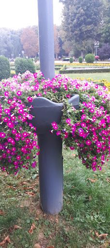 Eagle monument-Poltavs'ka city council