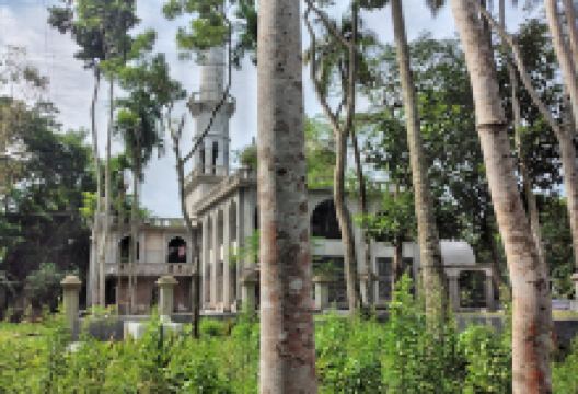 Jafarpur Jameh Mosque景点图片