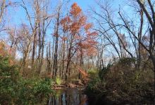 Pigeon Creek Nature Trail景点图片