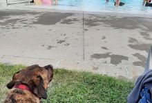 Beatrice Big Blue Water Park景点图片