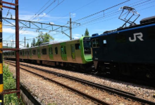 小出公園景点图片