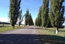 Gosudarstvennyy Prirodnyy Zakaznik Kamennaya Step'景点图片