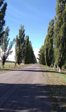 Gosudarstvennyy Prirodnyy Zakaznik Kamennaya Step'-塔洛瓦亚区