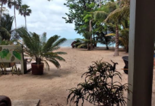 Thatch Caye Tropical Island Experience景点图片