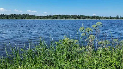 Nature Reserve Mewia Łacha