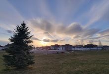 Homestead Park景点图片