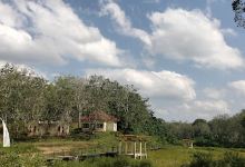 Candi Pulau Sawah景点图片