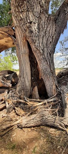 Riverfront Park-卡顿伍德